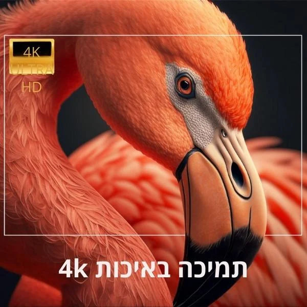 מקרן חכם עם מערכת אנדרואיד ורמקול מובנה - תומך איכות 4K